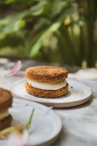 ALFAJOR MEGA CARROT x6