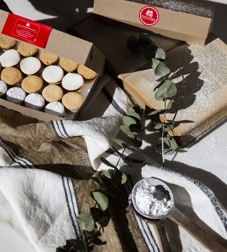 [412] ALFAJORES MINI SURTIDO X 20